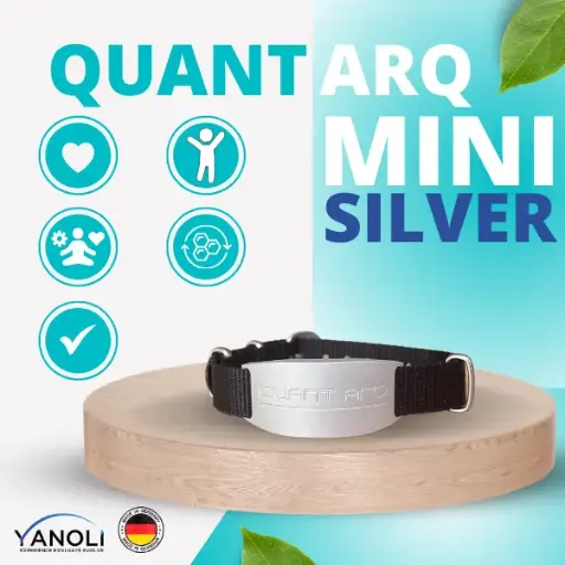 QUANT ARQ MINI Silver