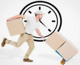 LIVRAISON SUD et HAUTS avec INSTALLATION SIMPLE